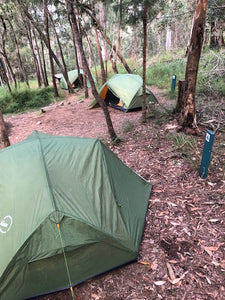 Luxe Habitat tent set up in National Park amongst trees