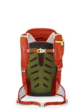 Load image into Gallery viewer, Osprey Jet 18 Kids Pack-view of straps and waist belt