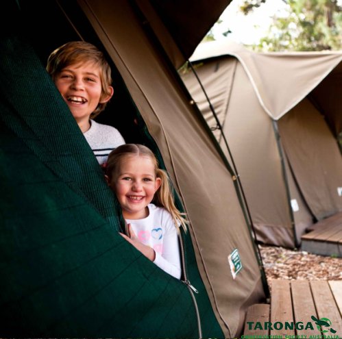 Campmor Safari Bow Tent