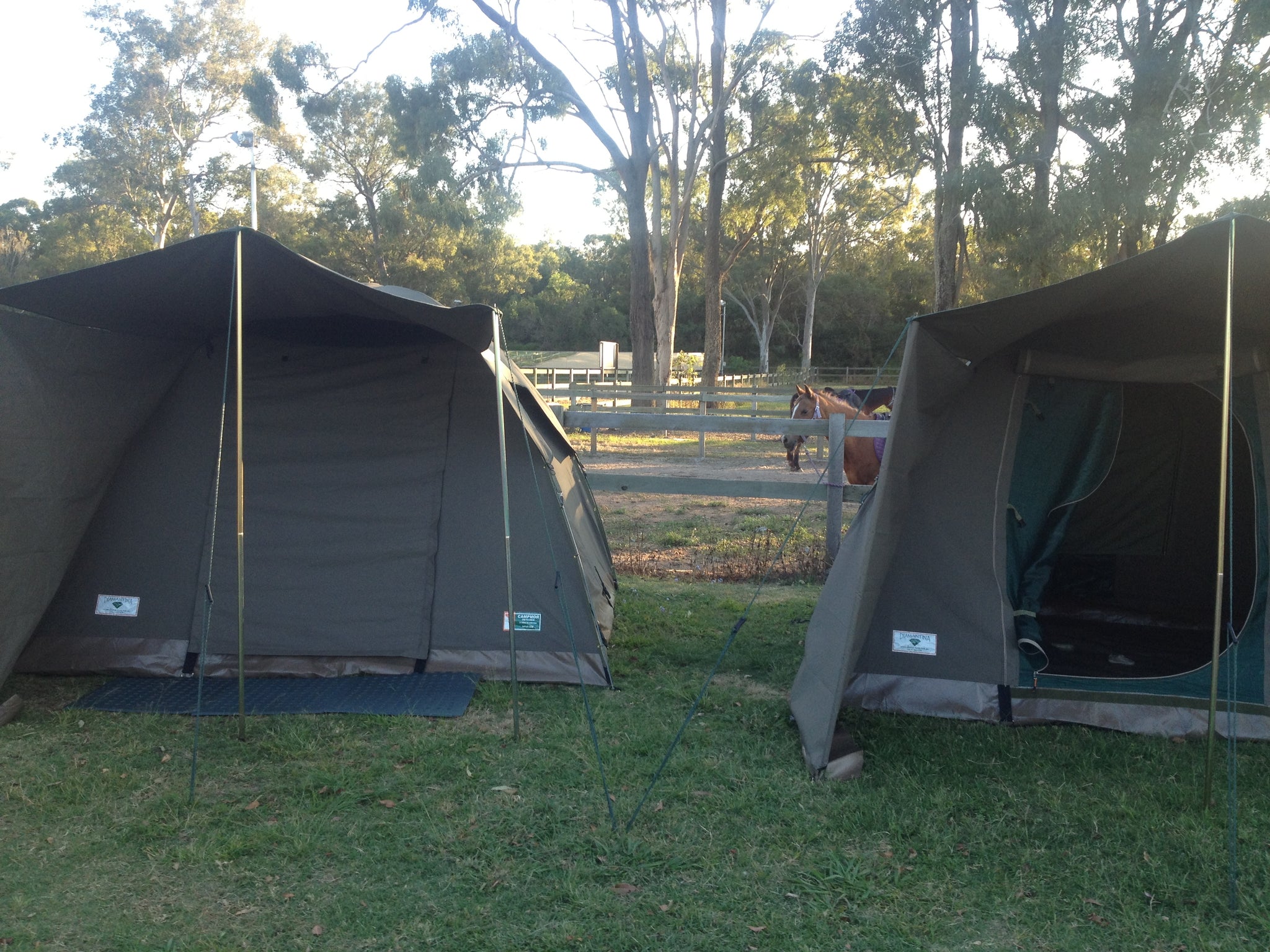 campmor tents Campmor Safari Bow Tent (4-5 person) Hire – Support Crew Pty Ltd